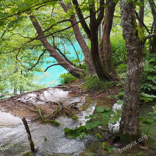 Plitvička Soon Nature Lake National Park