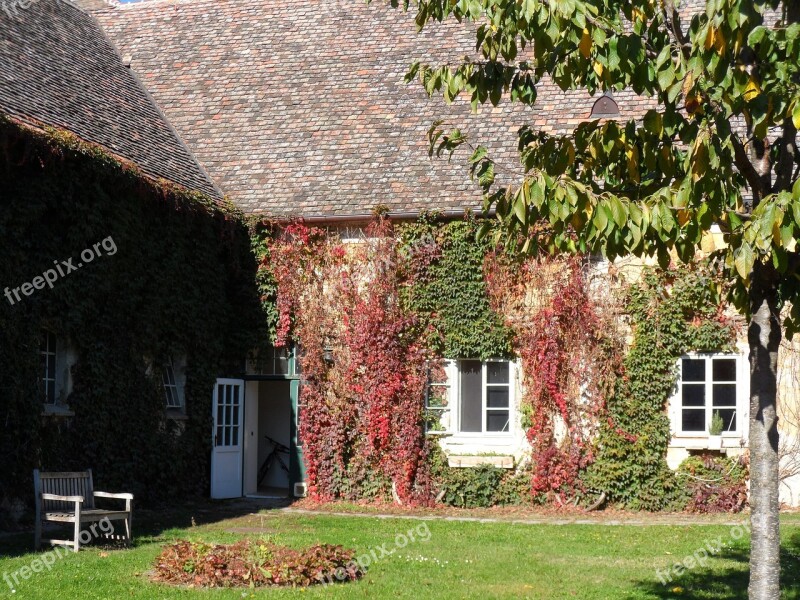 Country House Wine Leaf Hof Free Photos