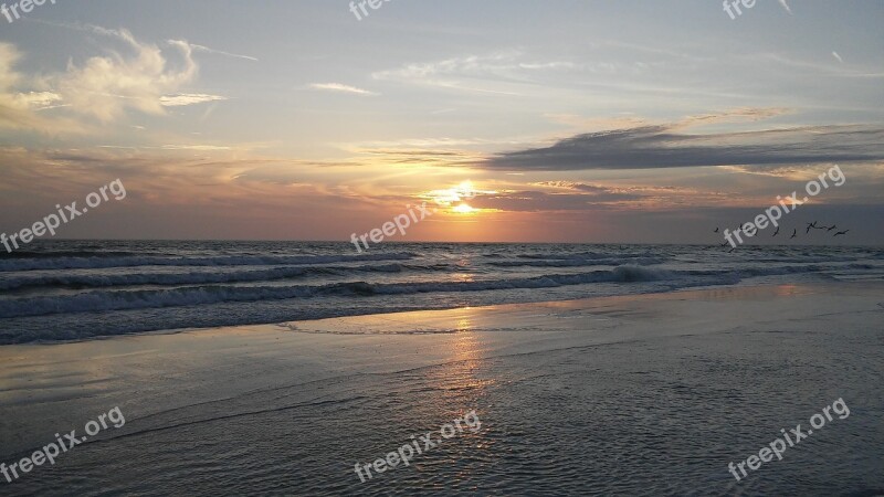 Gulf Coast Florida Venice Sea