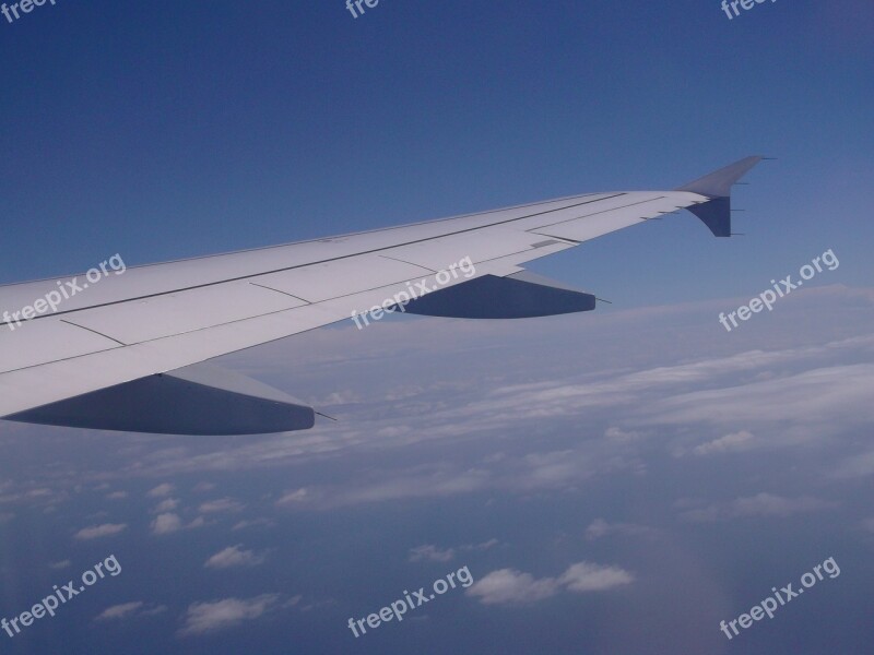 Aircraft Wing Aircraft Window Sky Free Photos