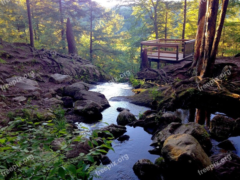 Buttermilk Falls New Jersey Forest Moss Nature