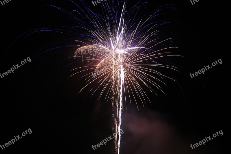 Fireworks Pyrotechnics Fireworks Art Event Shower Of Sparks