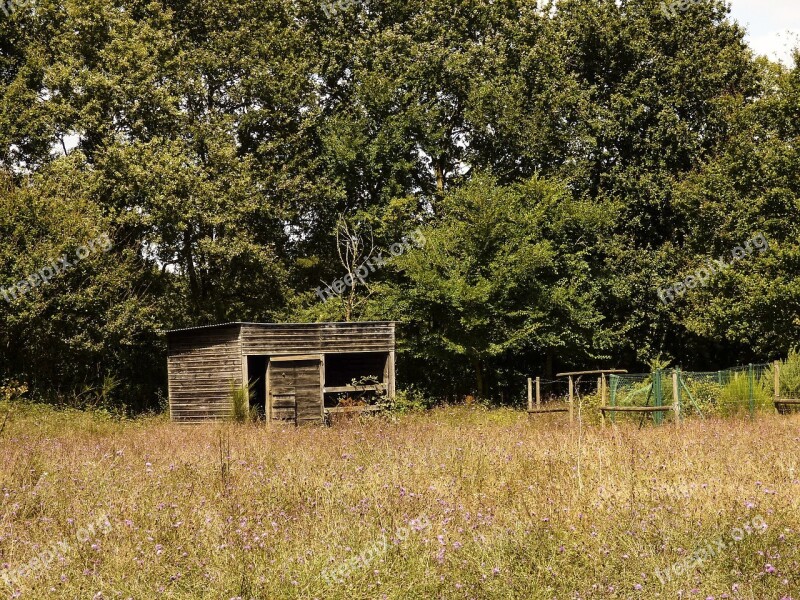 Field Cabin France Tree Vendée