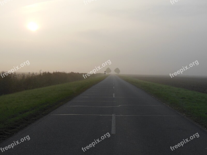 Morning Fog March Northern Germany Trees