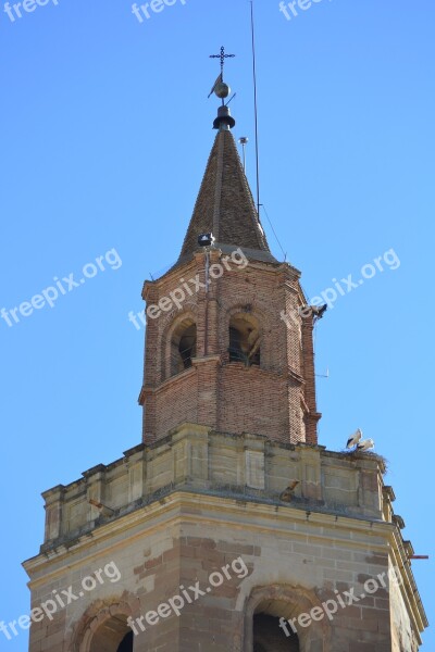 Stork Animal World Bell Tower Stone Bird