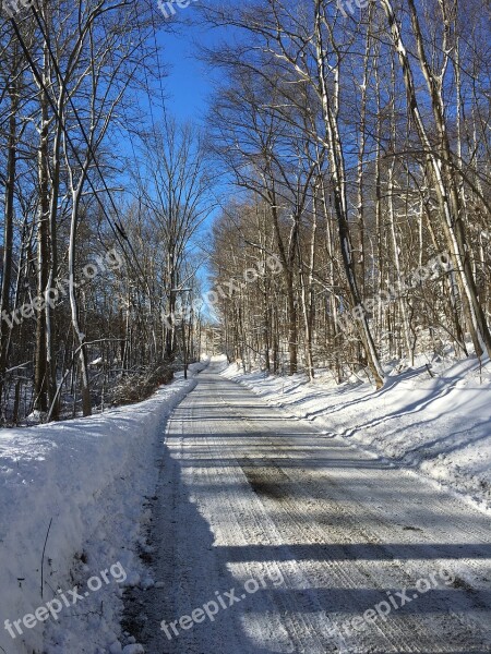 Road Winter Snow Sky Trees