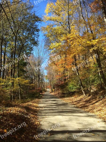 Road Forest Autumn Sky Leaves