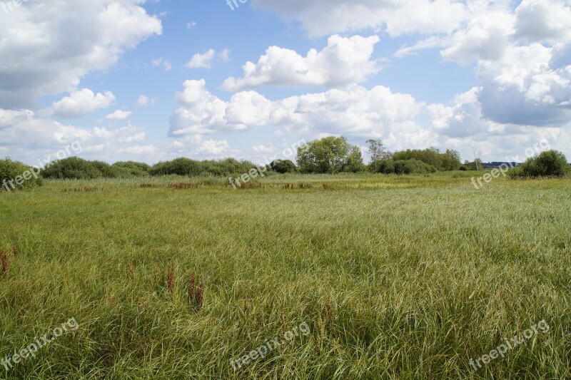 Spring Lake Moor Moorland Nature Nature Reserve