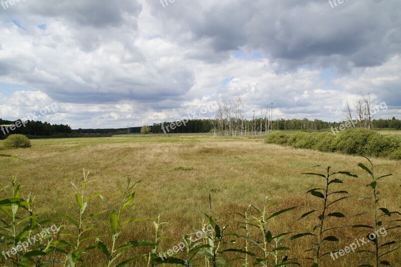 Spring Lake Moor Moorland Nature Nature Reserve