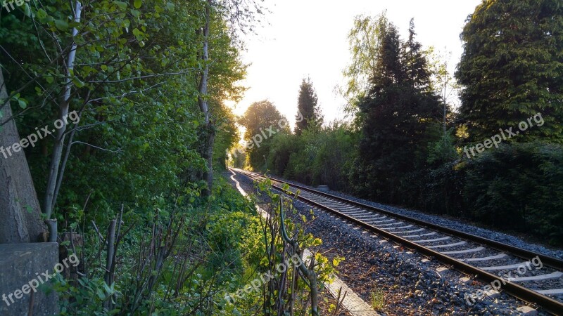 Gleise Trees Stones Scree Railway