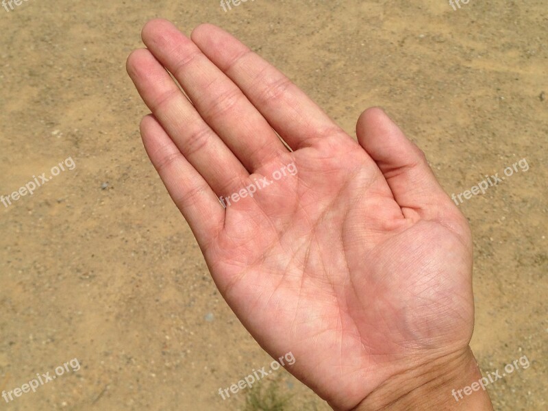 Palm Hand Finger Bleaching Palm Reading