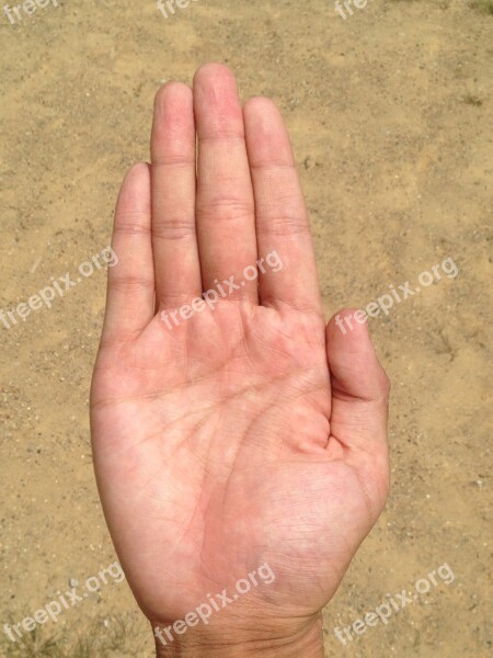 Palm Hand Finger Bleaching Palm Reading