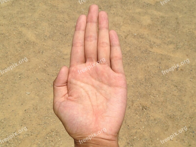 Palm Hand Finger Bleaching Palm Reading