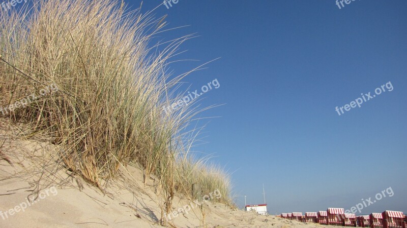 Dune Beach Baltic Sea Summer Background