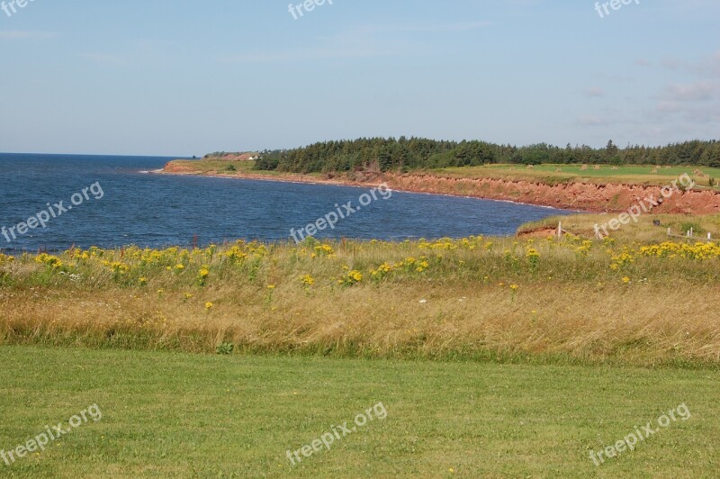 Coastline Prince Edward Island Canada Landscape Free Photos