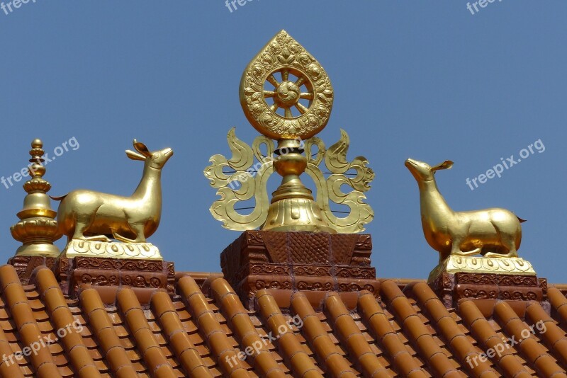 Temple Roof Gold Roof Ornament Lama