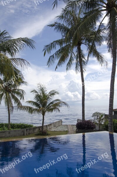 Mirroring Sky Water Resort Palm Trees