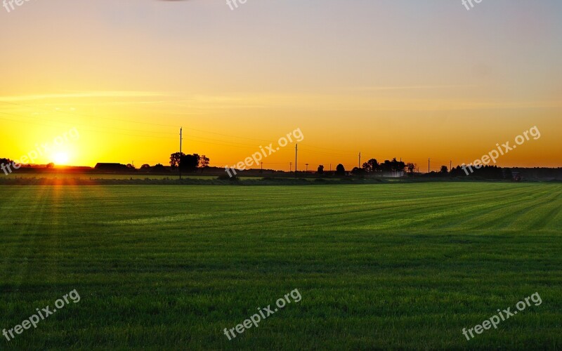 Sunrise Morning Go Field Grass