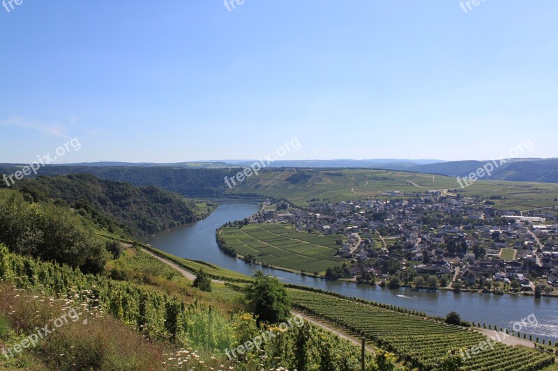 Mosel Landscape Vines Vineyard Germany