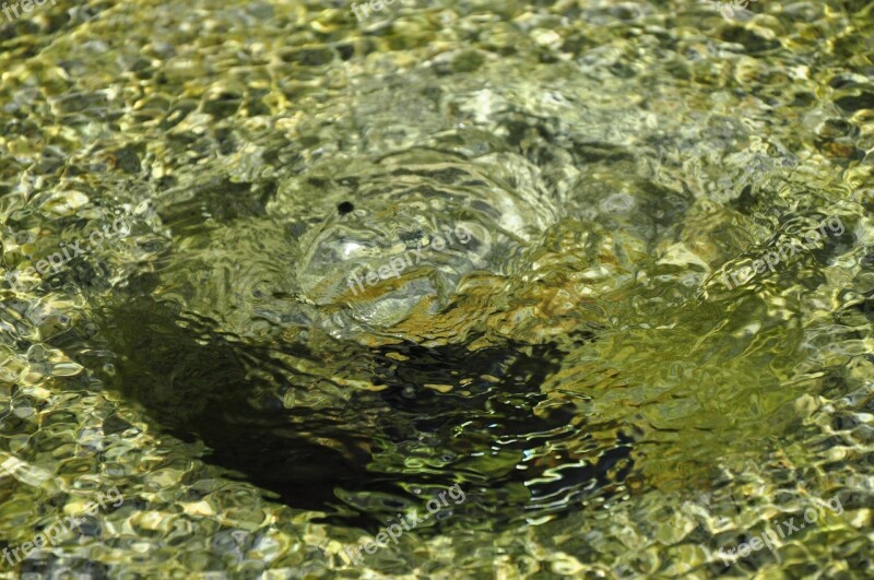 Fountain Water Water Surface Free Photos