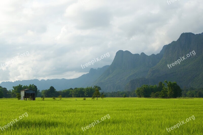 Laos Rice Paddies Green Country Hut