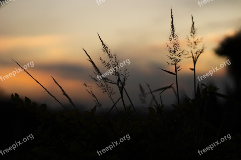 Sunset End Of Afternoon Landscape Nature Scenic