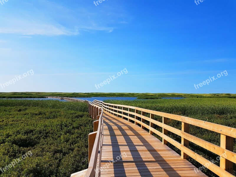 Canada Pei Prince Edward Island Cavendish Wood