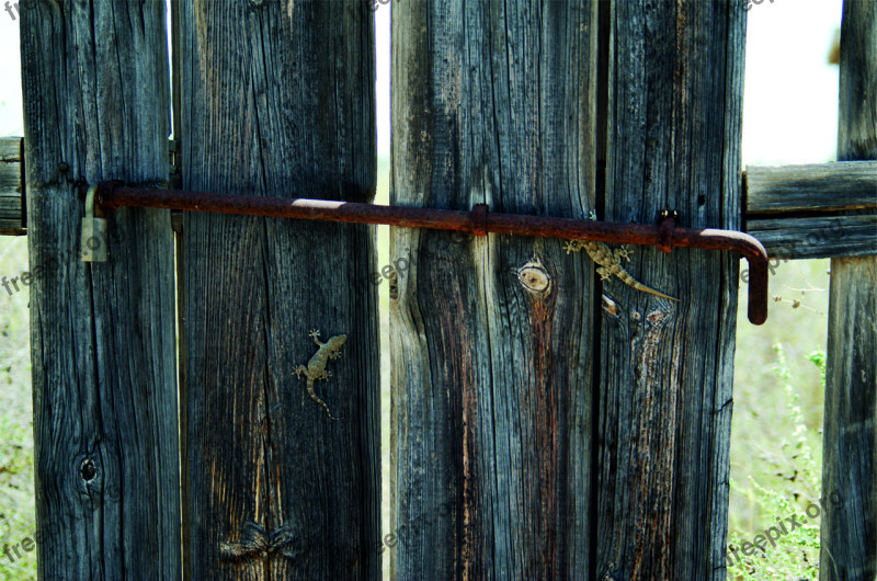 Woods Fences Rustic Free Photos