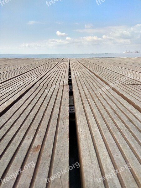 Sea Beach Wood Blue Clouds