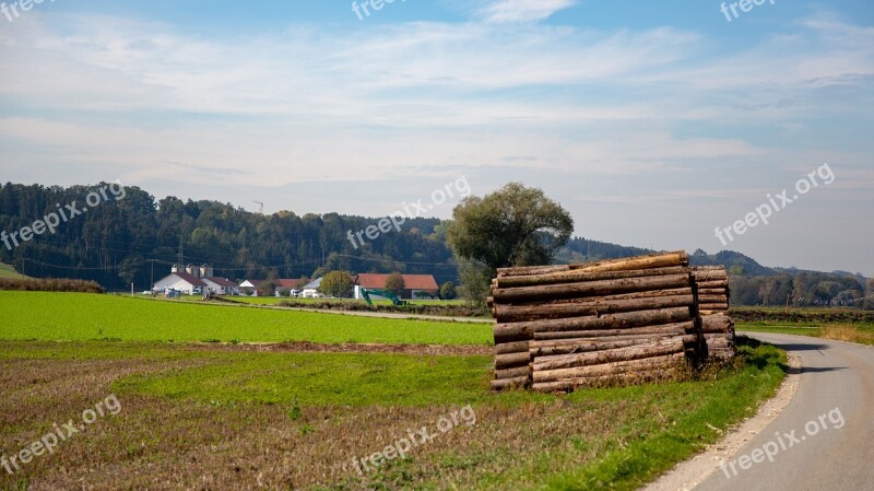 Holzstapel Field Meadow Landscape Tree Trunks