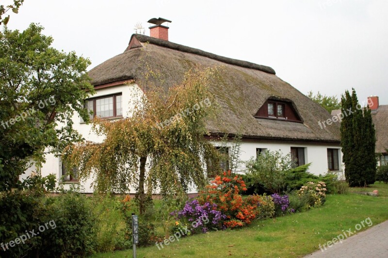 House Hiddensee Vitte Thatched Roofs Free Photos