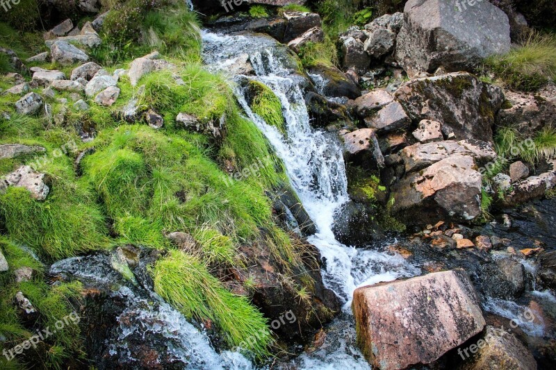 Stream Fresh Water Nature Pathway Climbing