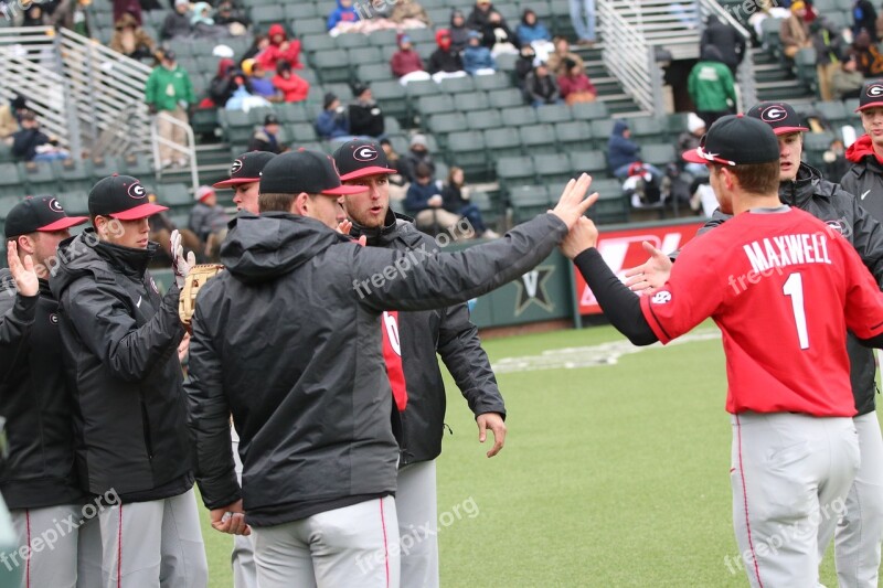 High Five Baseball Players Sport Sports