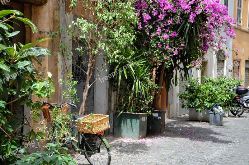 Rome Italy Architecture Tourism Flowers