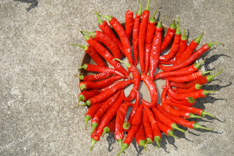 Pepper Dry Solar Sunshine Food