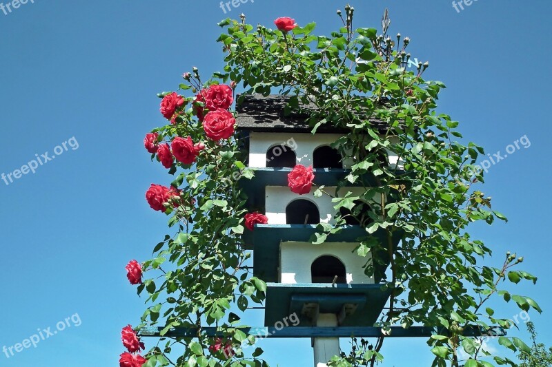 Birdhouse Garden Decoration Sky Flower