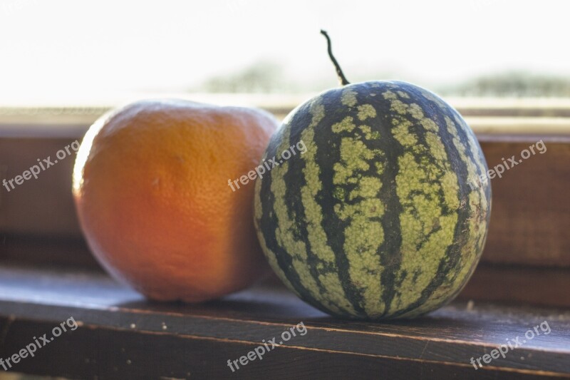 Small Watermelon Grapefruit Window Window Sill