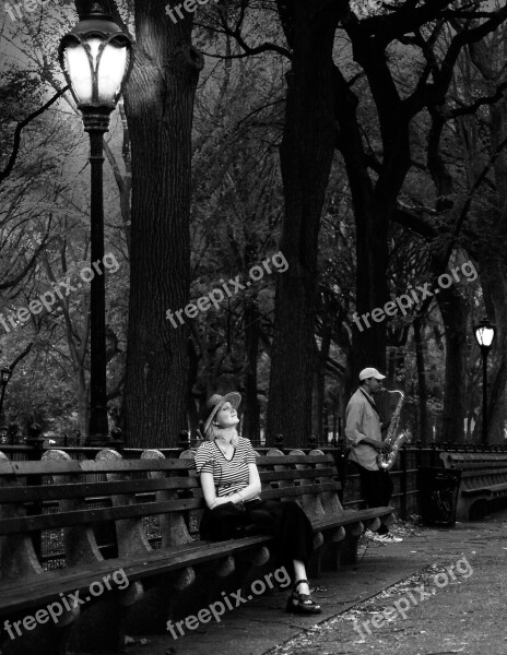 Central Park New York Musician Concert Peaceful