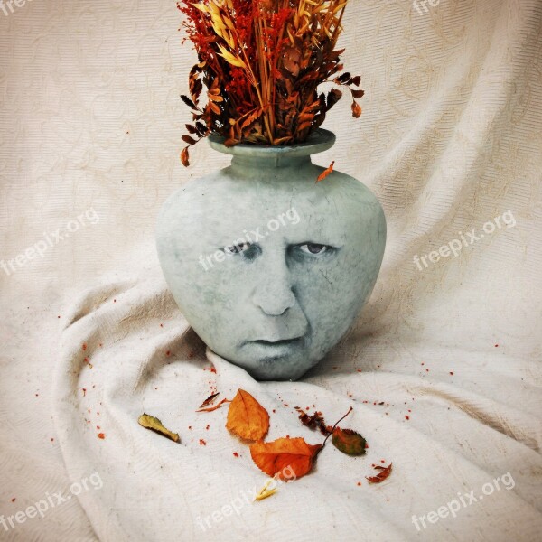 Vase Autumn Case Leaf Death