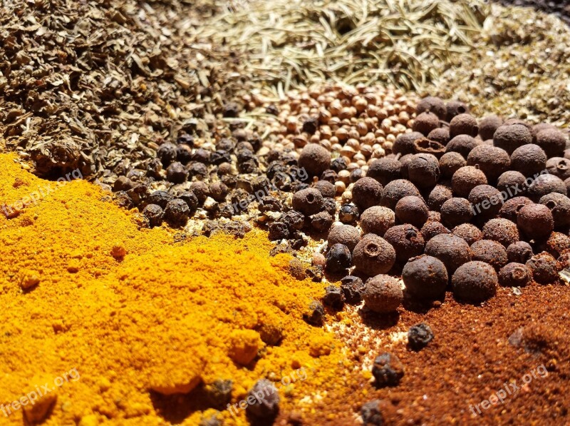 Spices Kitchen Allspice Turmeric Carry