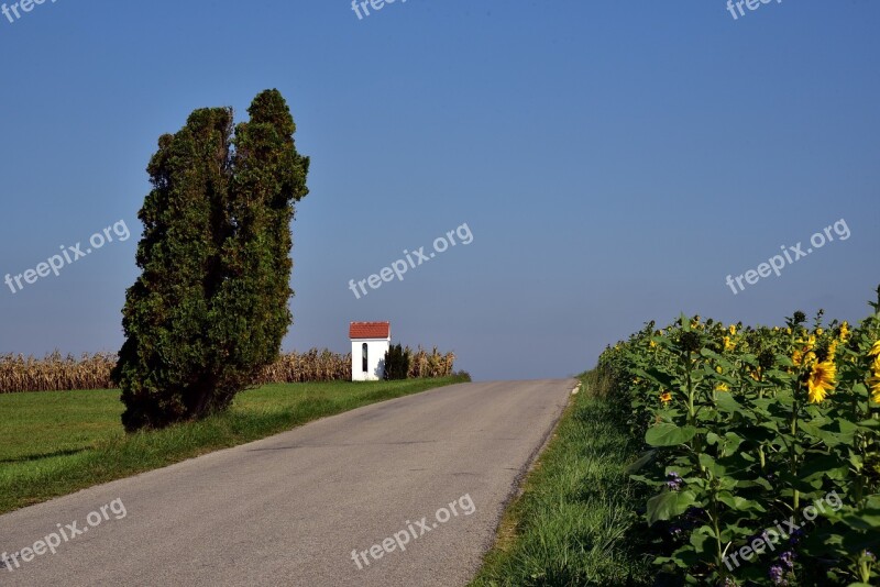 Road Away Field Landscape Sky