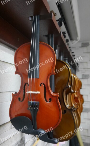 Violin Music Instrument Music Free Photos