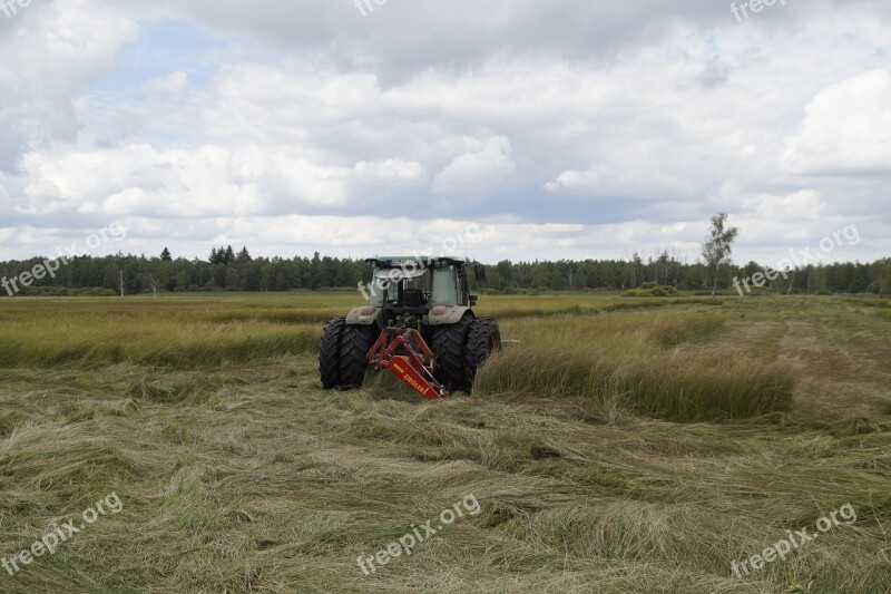 Spring Lake Moor Moorland Nature Nature Reserve