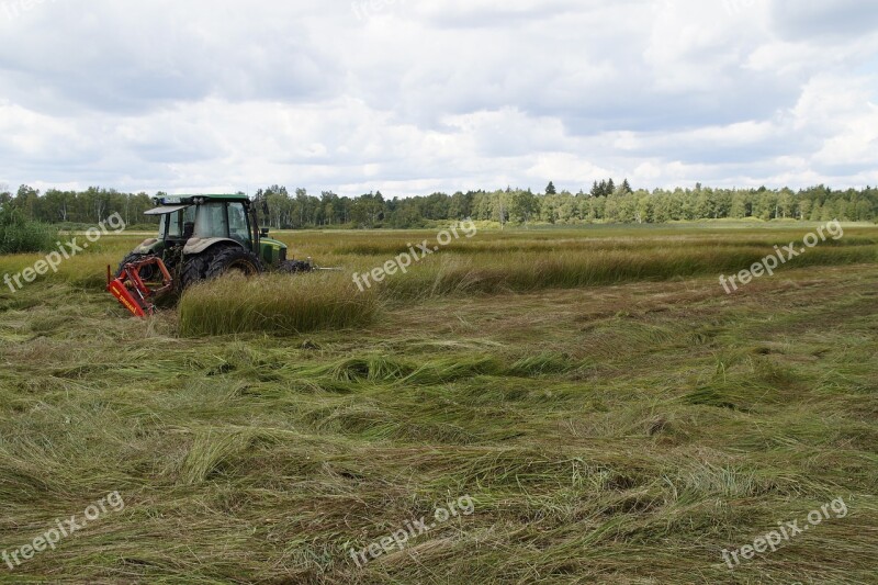 Spring Lake Moor Moorland Nature Nature Reserve