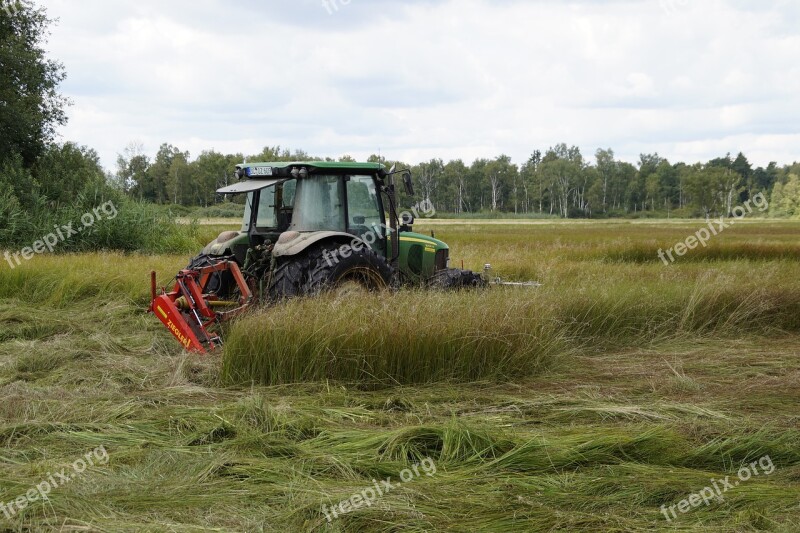 Spring Lake Moor Moorland Nature Nature Reserve