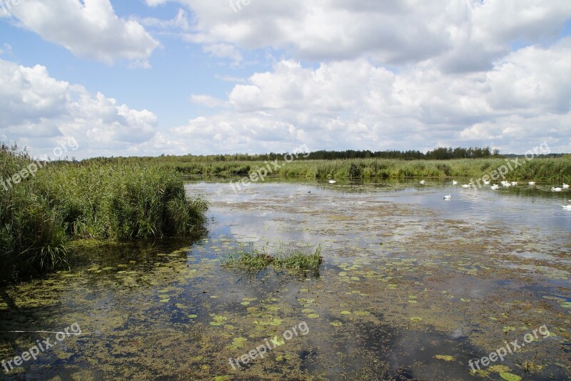 Landscape Spring Lake Nature Reserve Nature Moorland