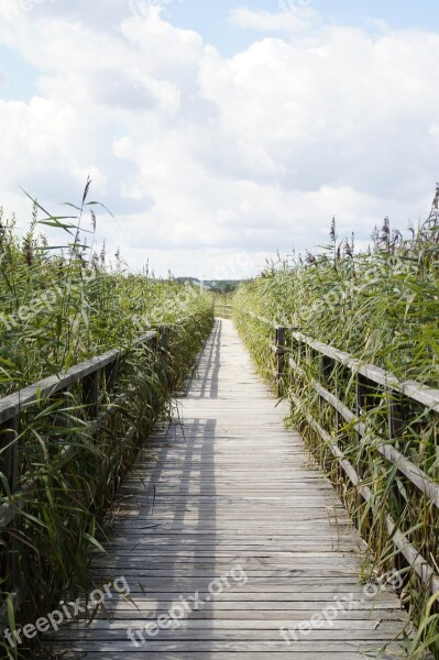 Landscape Spring Lake Nature Reserve Nature Moorland