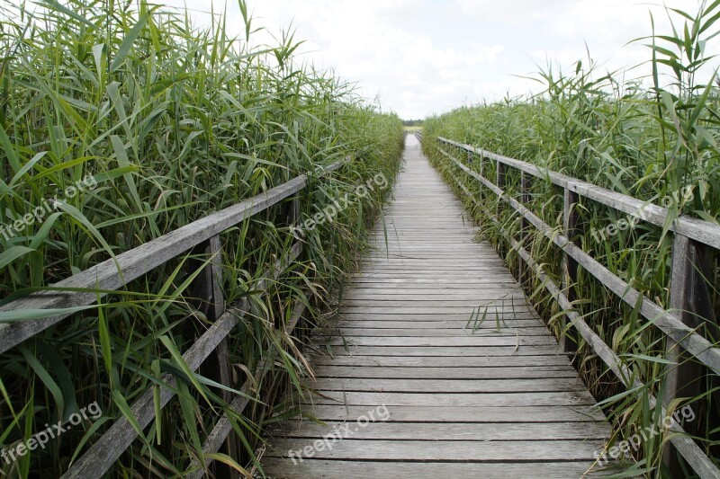 Landscape Spring Lake Nature Reserve Nature Wetland