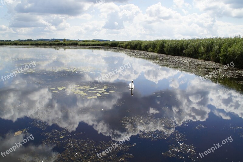 Landscape Spring Lake Nature Reserve Nature Moorland