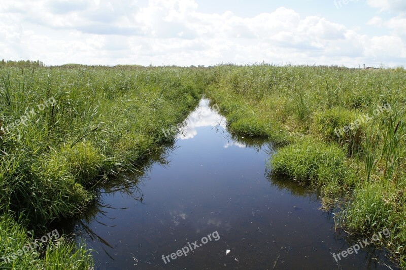 Landscape Spring Lake Nature Reserve Nature Moorland